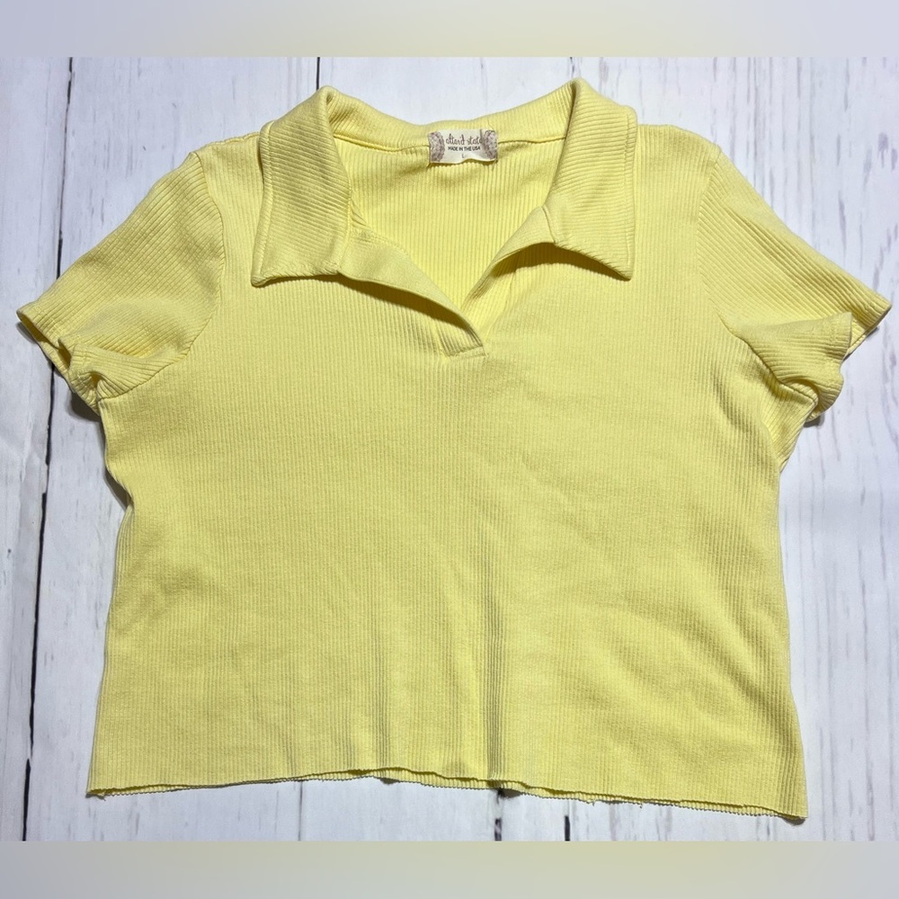 2/$20 Sale Altar’d State Crop Top